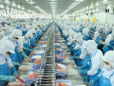 Dịch vụ Cung ứng lao động tại TPHCM uy tín