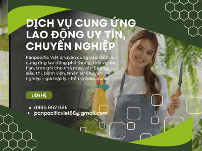 Dịch vụ cung ứng lao động uy tín, chuyên nghiệp